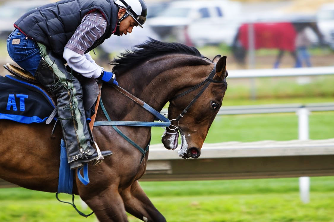 Maux de dos et équitation : ne blâmez pas le cheval mais ce qu&rsquo;il y a dessus !