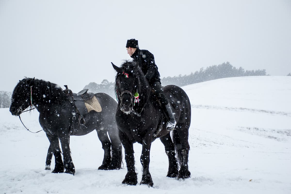 Equitation : comment s’équiper en hiver ?