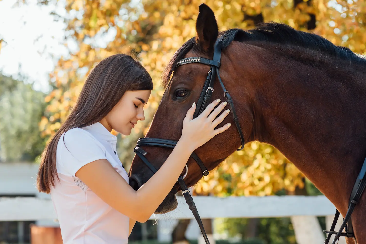 Soin des chevaux : en cas de dermite, l’huile de cade est un remède naturel !