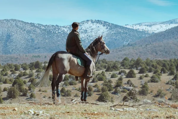 Rêver de monter à cheval : 6 significations qui vous parlent